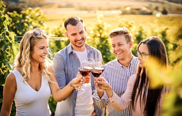 wine